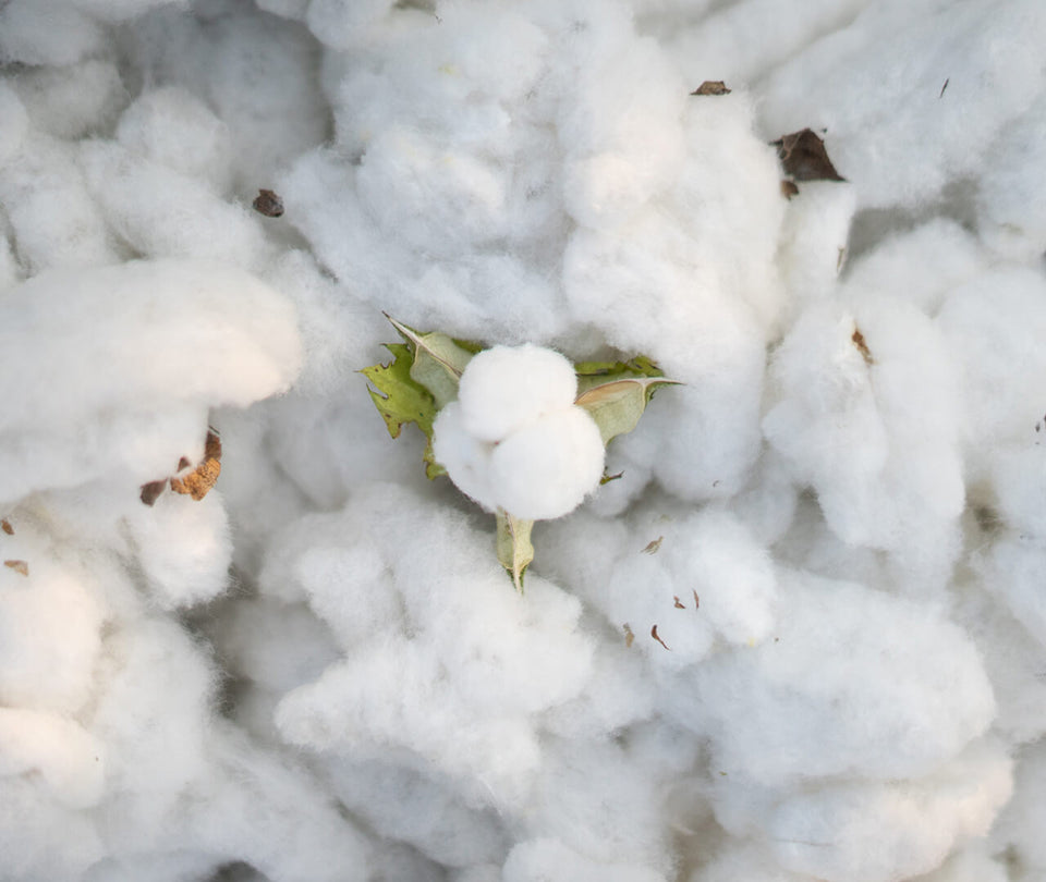 100% Sustainable & Fair